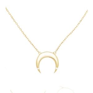 Alex Mika Jewelry Horn Necklace